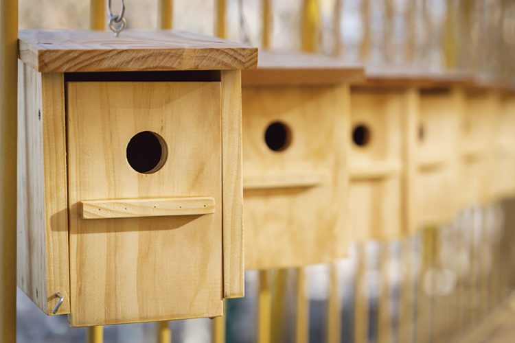 Un taller de cajas nido y otro sobre mensajes sostenibles