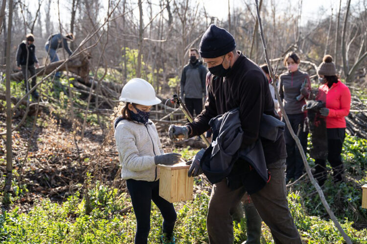 La restauración ambiental del río Jarama prosigue en 2023
