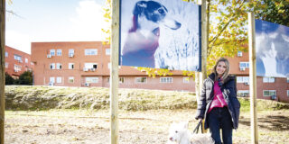 El paseo de los Animales: con fotos de perros, gatos o aves ripenses