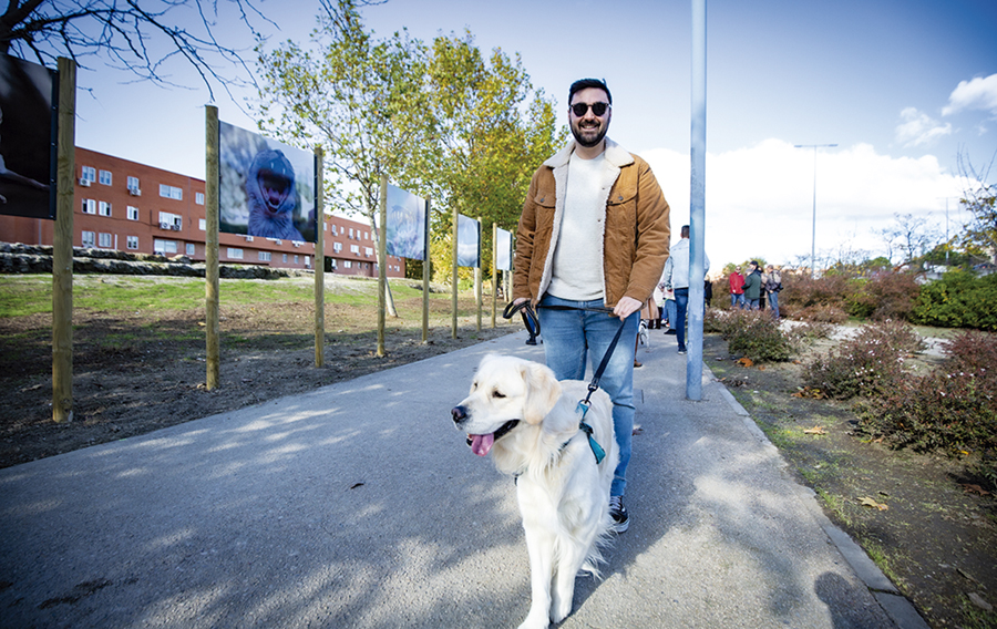 ¿Cómo profundizar en una tenencia responsable de tu animal de compañía?