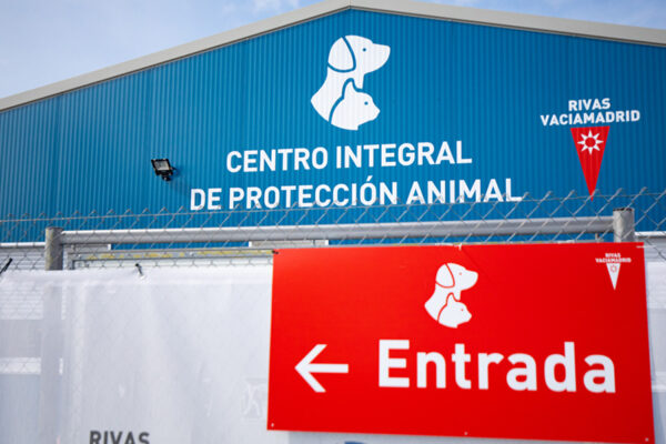 Charlas contra las plagas domésticas: mosquitos, chinches o roedores