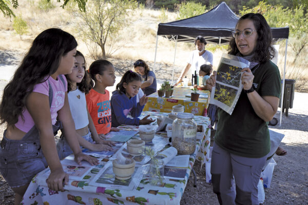 A vivir la huerta: Fiesta de la Agroecología