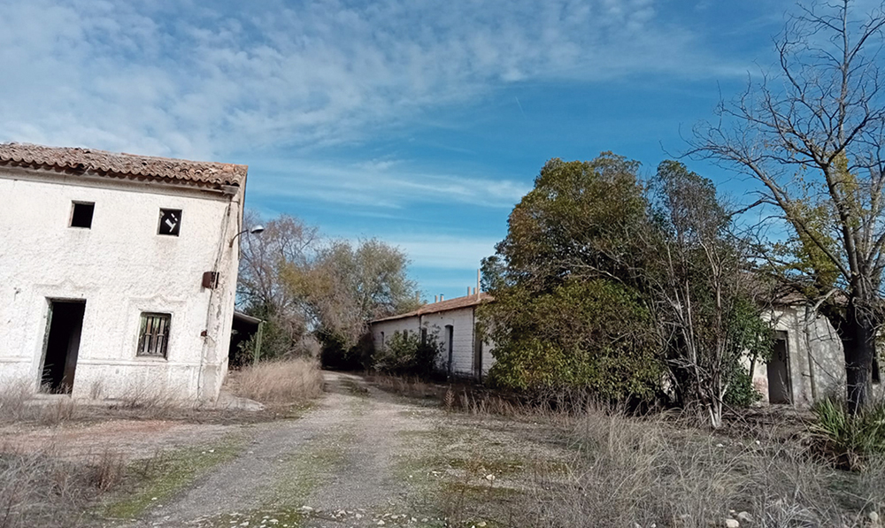 La bellotada del invierno y una visita a los orígenes ripenses en El Porcal