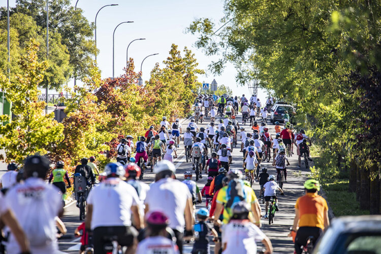 Propuestas ecológicas durante la Fiesta de la Bicicleta