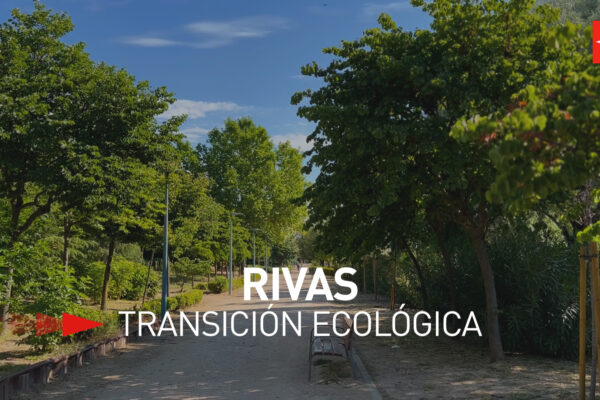 Rivas, una ciudad con más árboles que personas