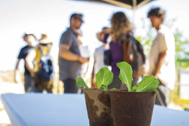 Feria por el Día Mundial del Medio Ambiente y bombas de semillas
