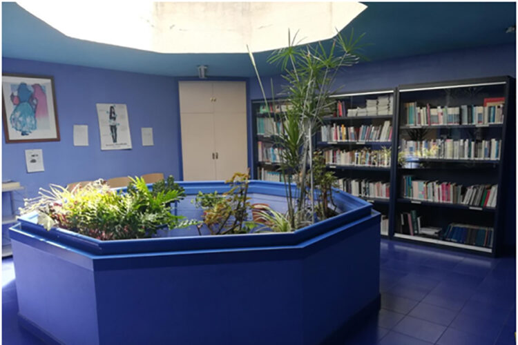 Abre el Espacio feminista de préstamos de libros