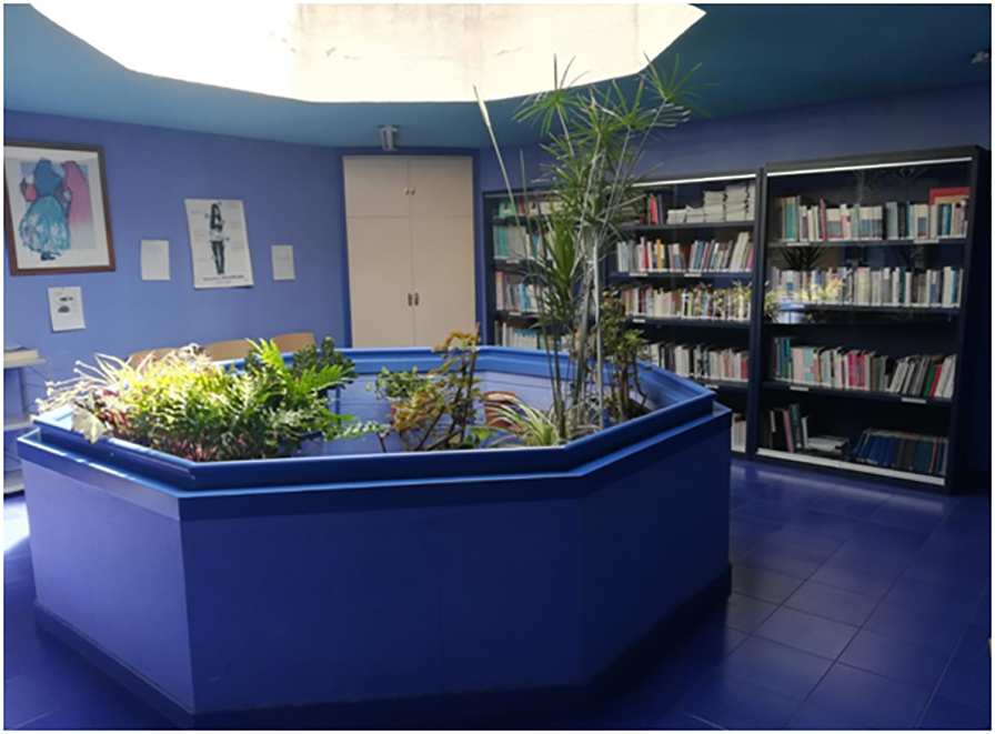Abre el Espacio feminista de préstamos de libros
