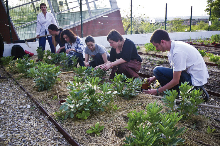 Educación ambiental: curso que acerca esta tarea profesional a jóvenes